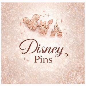 Disney Pins | Closet Section Divider